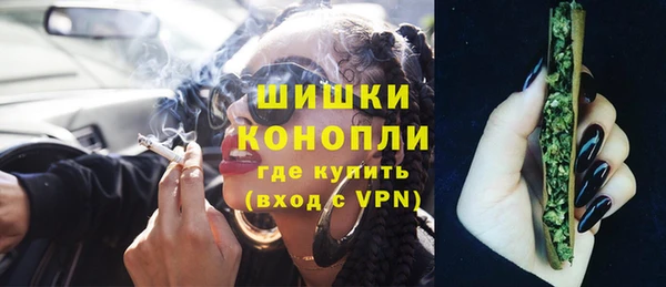 ECSTASY Пересвет