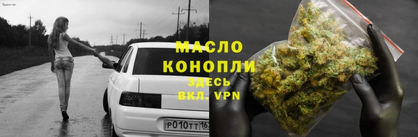 ECSTASY Пересвет