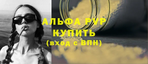 ECSTASY Пересвет