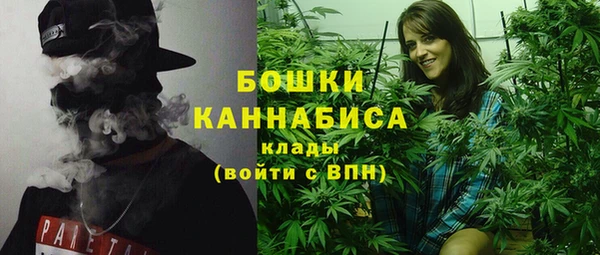 ECSTASY Пересвет