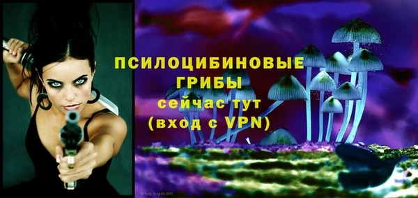 винт Переславль-Залесский