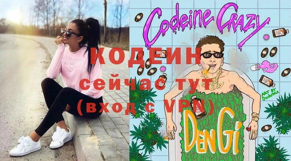 ECSTASY Пересвет