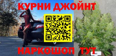 сатива Лесосибирск