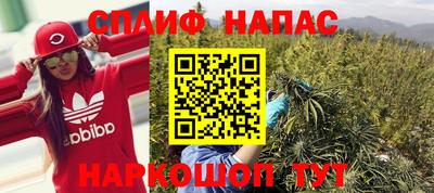 сатива Лесосибирск