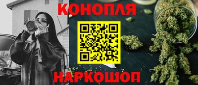 сатива Лесосибирск