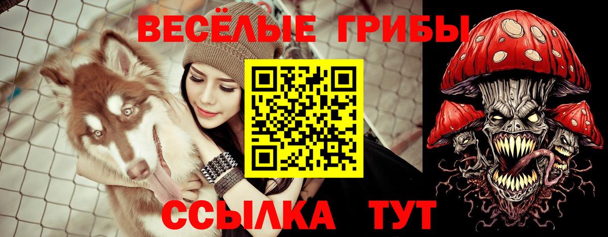 Псилоцибиновые грибы MAGIC MUSHROOMS  Вход с VPN  Усинск 